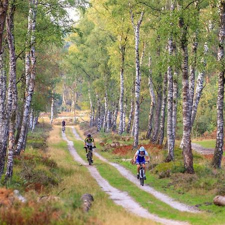 Chalet Op De Veluwe # Berk Putten Εξωτερικό φωτογραφία