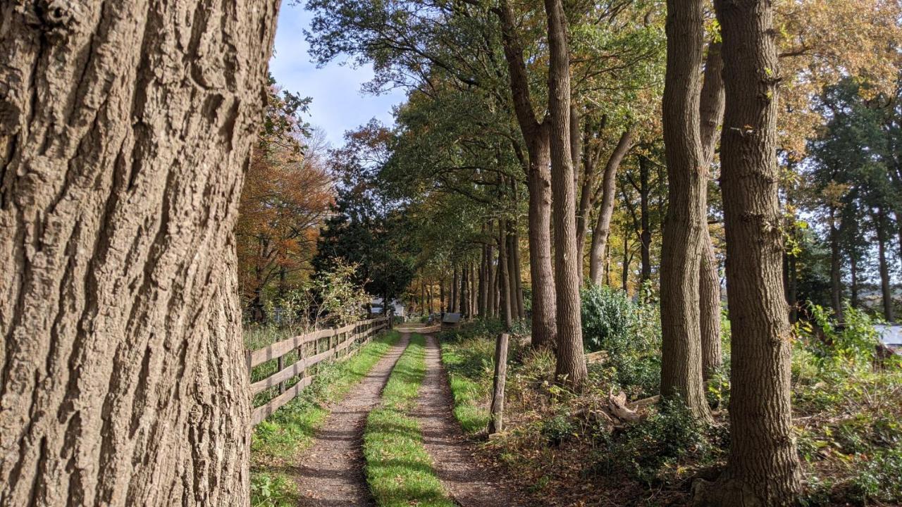 Chalet Op De Veluwe # Berk Putten Εξωτερικό φωτογραφία