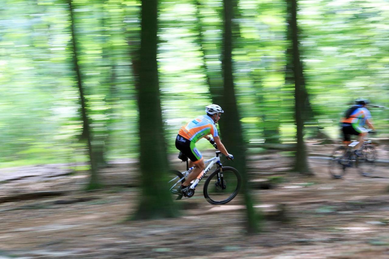 Chalet Op De Veluwe # Berk Putten Εξωτερικό φωτογραφία