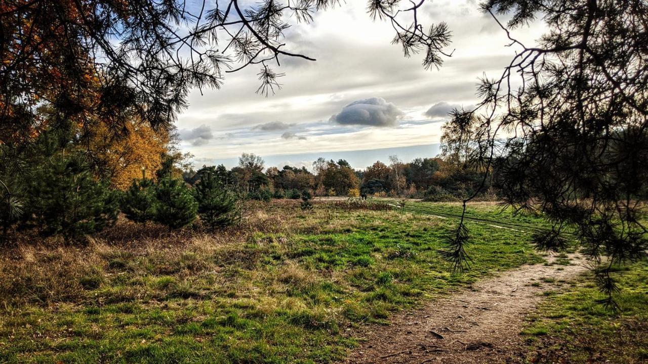 Chalet Op De Veluwe # Berk Putten Εξωτερικό φωτογραφία