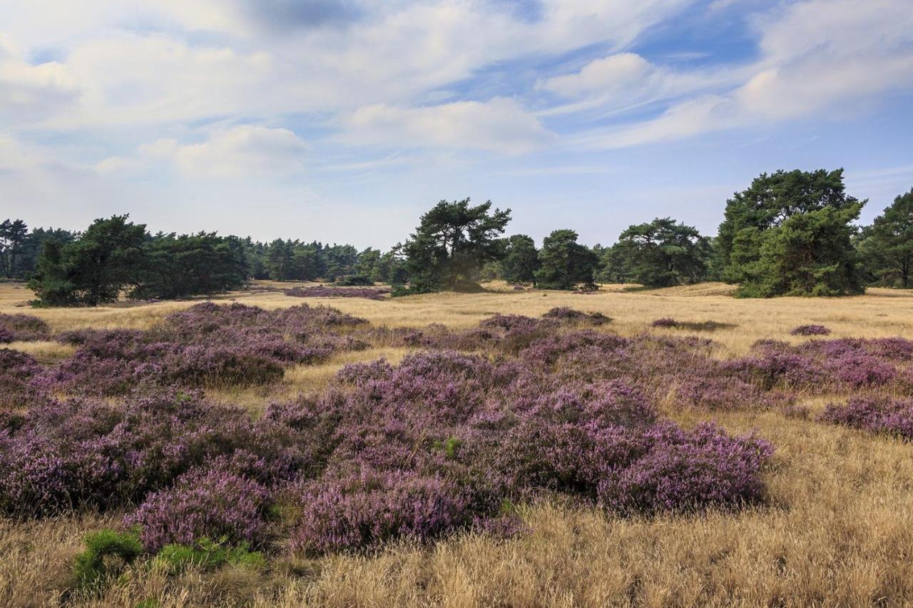 Chalet Op De Veluwe # Berk Putten Εξωτερικό φωτογραφία