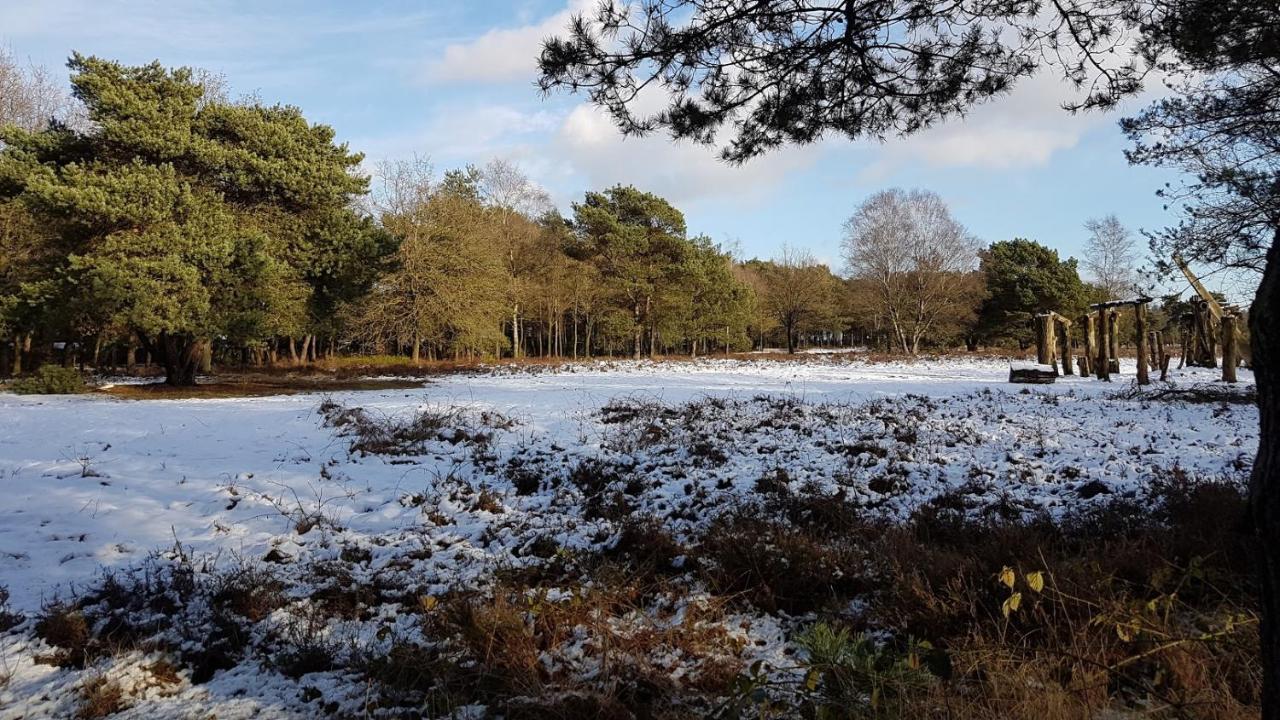 Chalet Op De Veluwe # Berk Putten Εξωτερικό φωτογραφία