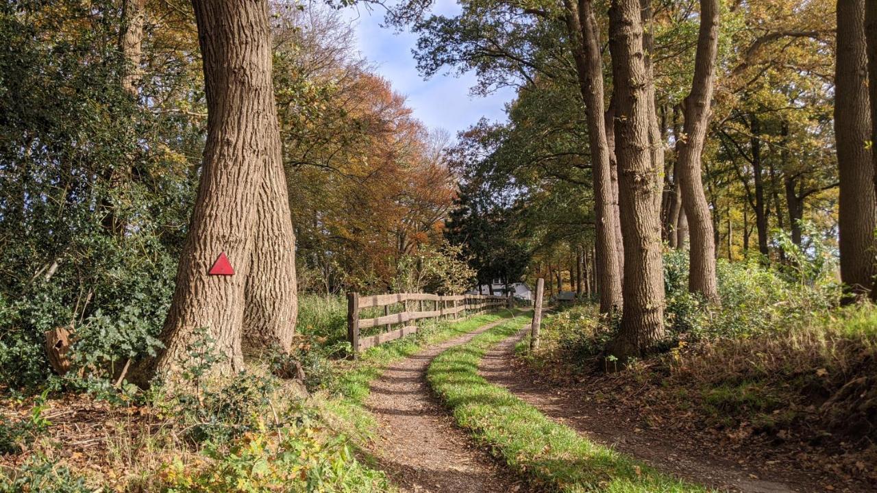 Chalet Op De Veluwe # Berk Putten Εξωτερικό φωτογραφία